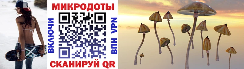 купить наркоту  Заводоуковск  Псилоцибиновые грибы Cubensis 