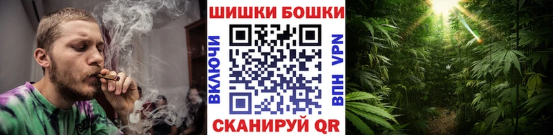 Шишки марихуана планчик  где купить наркоту  Заводоуковск 